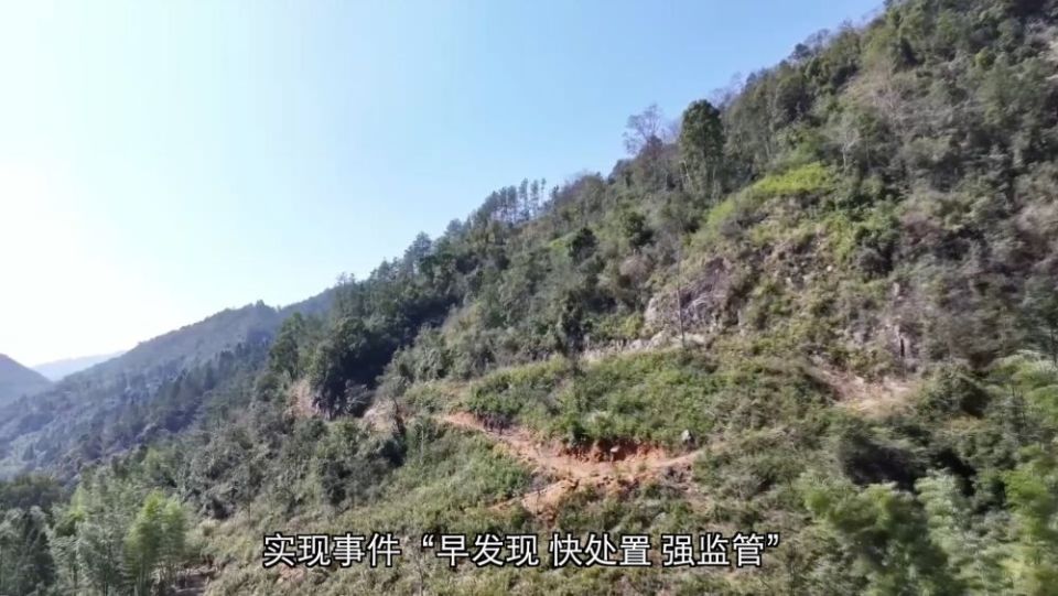 新华视点｜生态治理绘就绿色发展画卷