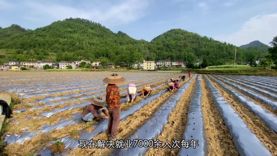 新华视点｜生态治理绘就绿色发展画卷