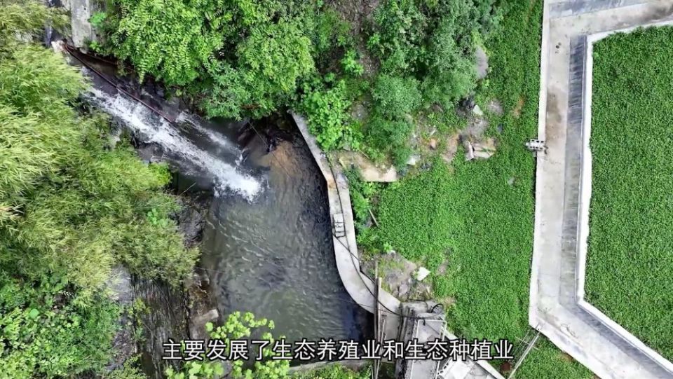 新华视点｜生态治理绘就绿色发展画卷