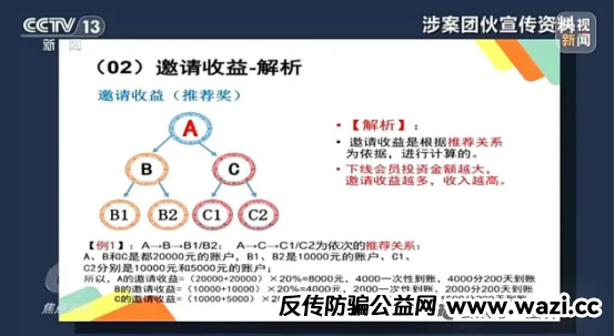 震哥揭露“云养黑猪”骗局：高收益背后是血泪陷阱