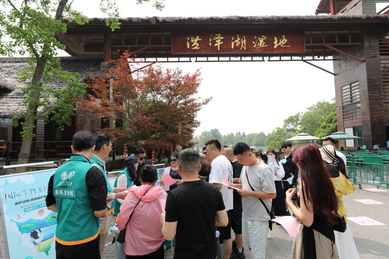 从“冲突”到“共生”：泗洪探索电网与候鸟和谐之道