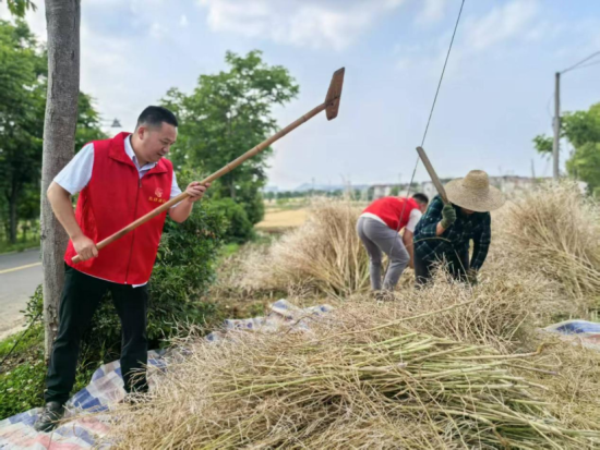南京溧水烟草：志愿服务到田间 助农抢收解民忧
