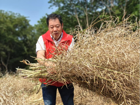 南京溧水烟草：志愿服务到田间 助农抢收解民忧