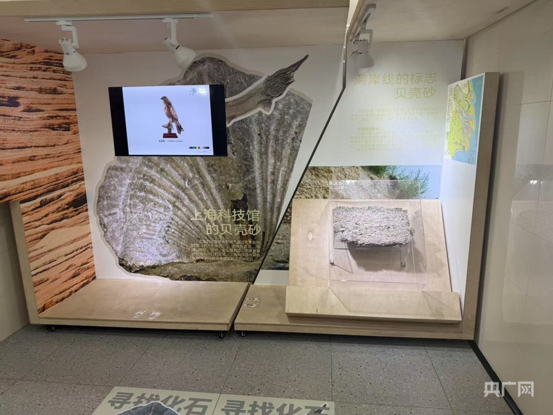 科学教育在行动，上海科技馆藏品进校园“一平米博物馆”普陀区启动