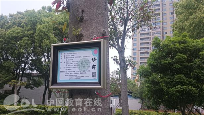 温大生环学院联合举办植物挂牌公益志愿活动