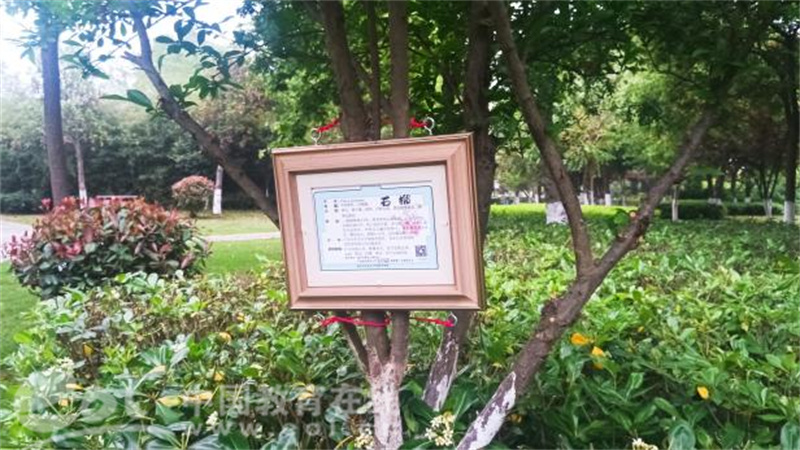 温大生环学院联合举办植物挂牌公益志愿活动