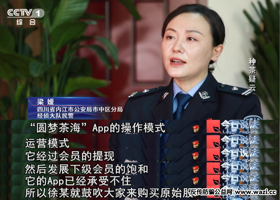 7万多名会员参与“云端种茶”，背后竟是精心编织的“致富”假象！