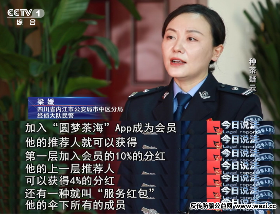 7万多名会员参与“云端种茶”，背后竟是精心编织的“致富”假象！
