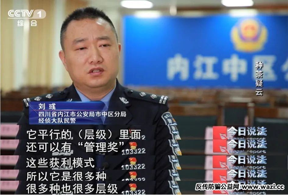 7万多名会员参与“云端种茶”，背后竟是精心编织的“致富”假象！