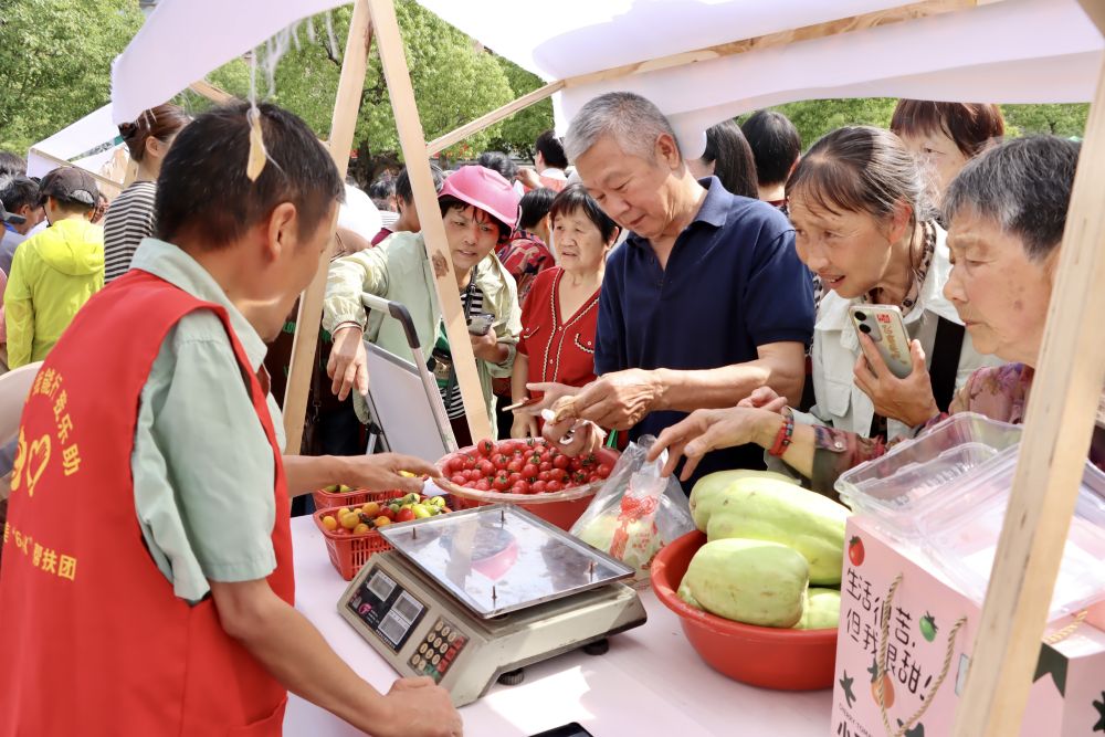 以爱为桥，共见担当： 浙江慈溪桥头镇十大志愿服务行动筑起惠民共富桥