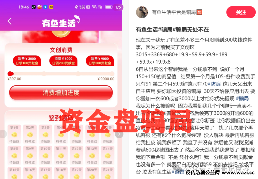 独家起底：有鱼生活“消费全返”背后的资金盘陷阱！