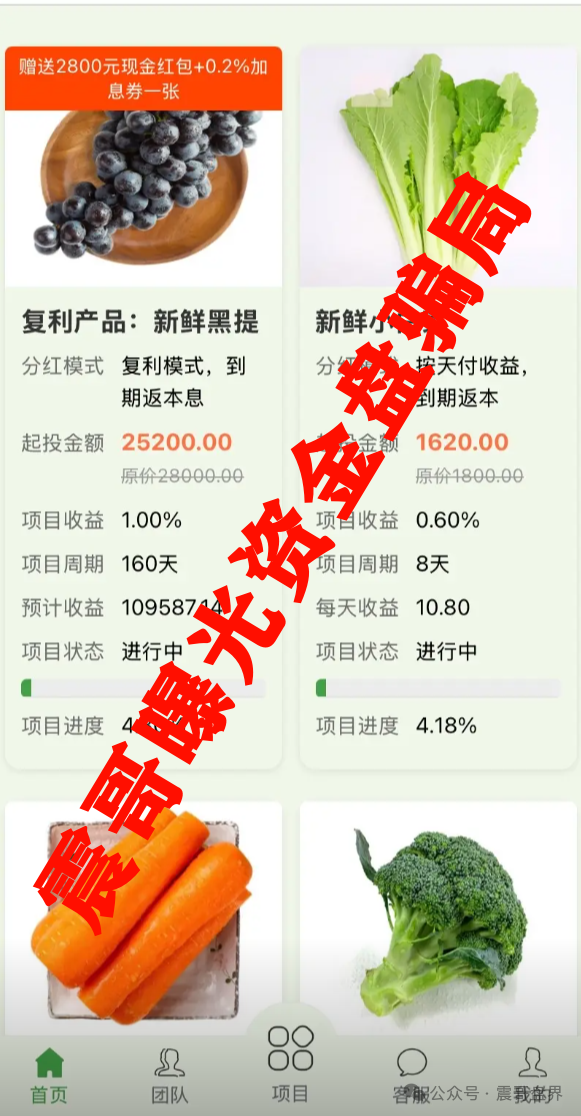 【中百好物】分红资金盘骗局，挂羊头卖狗肉，冒充正规公司搞分红盘骗钱！