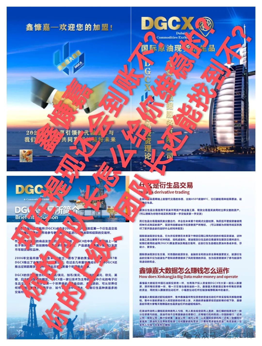 曝光＂鑫慷嘉DGCX＂跟单类资金盘骗局已拒绝提现！