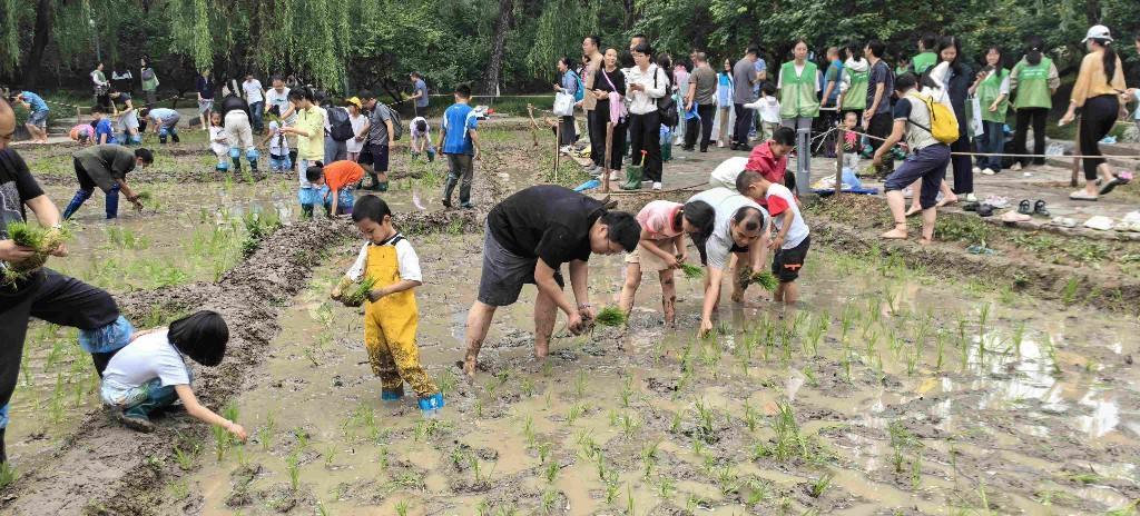 北京：端午假期449.21万游客逛公园