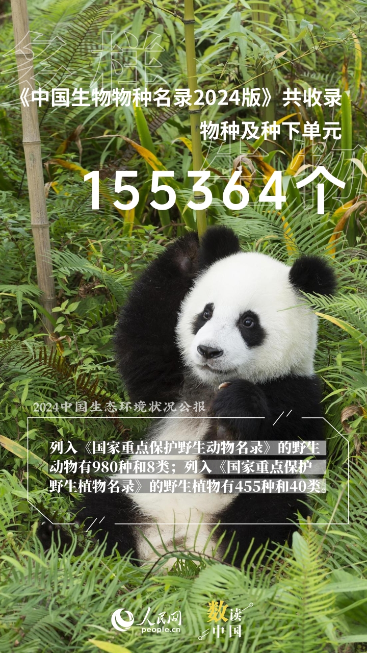数说生态美 共赏美丽中国新画卷