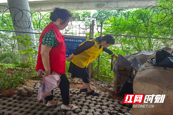 袁佩芳：志愿服务，就是发自内心的幸福选择