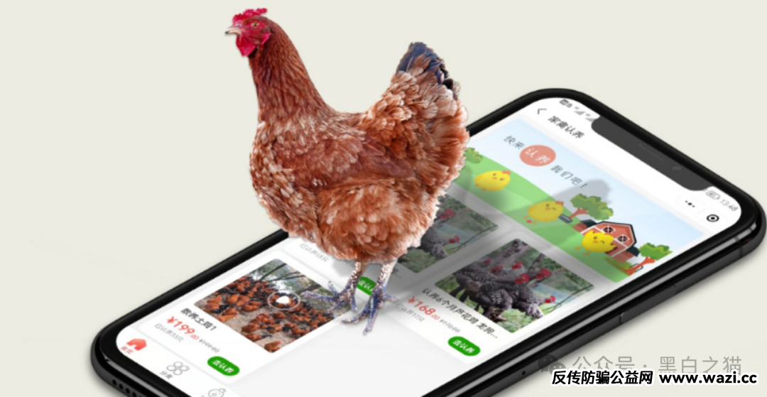 以案说法｜“云养牛”“云养猪”“云养鸡”投资骗局，都是糖衣炮弹“陷阱”，请捂好自己血汗钱......