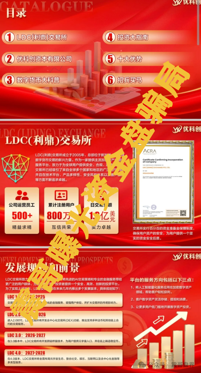 【重磅爆料】LDC利鼎交易所跟单骗局大起底！带你扒皮优科创资本！