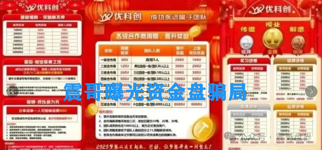 【优科创】TS的LDC利鼎交易所，资金盘这大坑你敢踩吗？