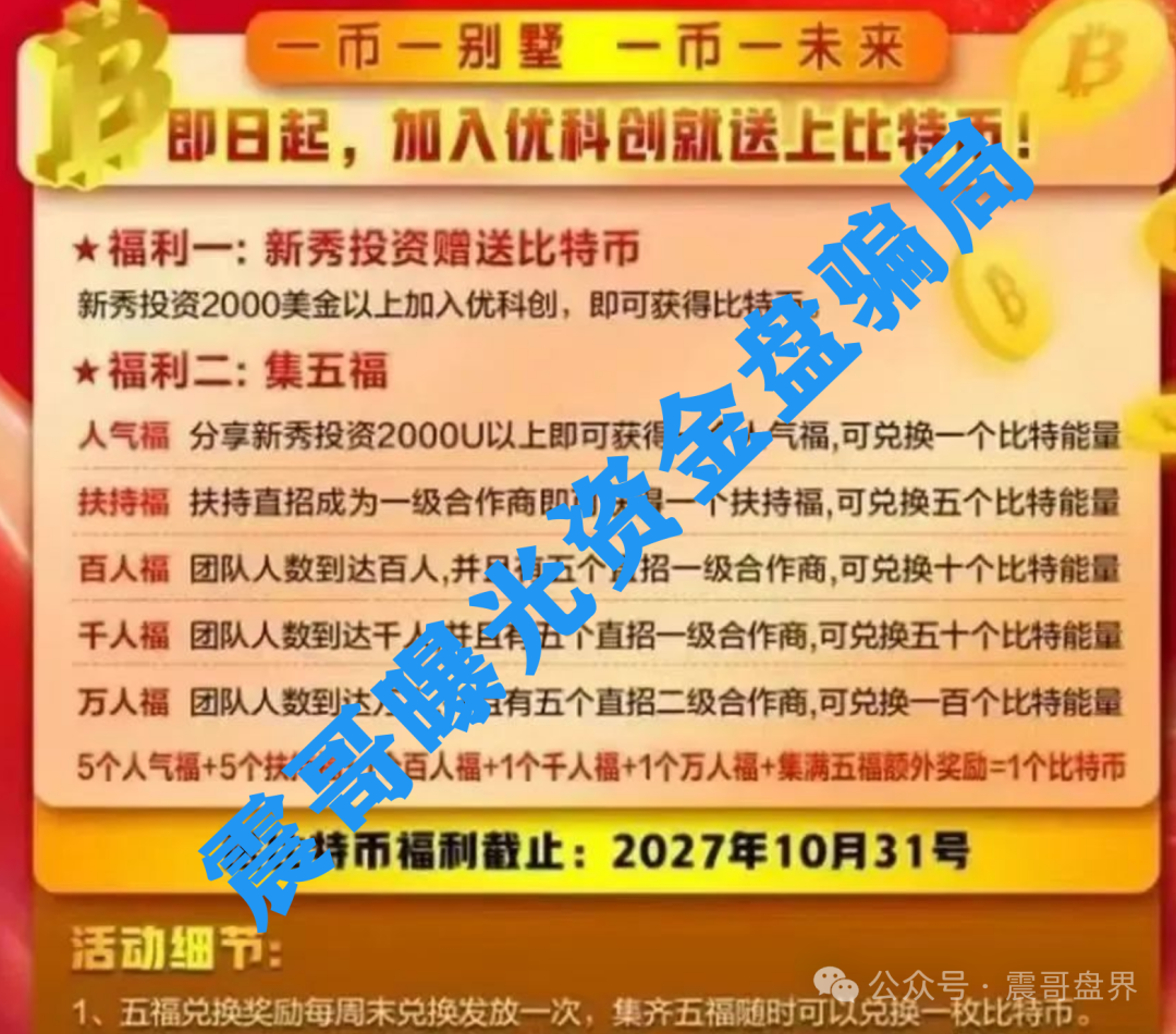 【优科创】TS的LDC利鼎交易所，资金盘这大坑你敢踩吗？