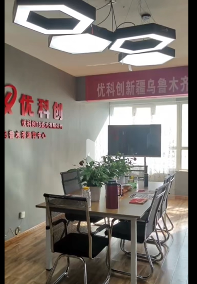 【优科创TS（LDC利鼎交易所）】崩盘在即！起底LDC利鼎交易所的惊天骗局！
