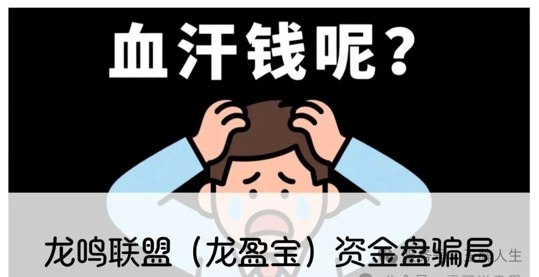 龙鸣联盟（龙盈宝）资金盘骗局，圈钱过亿，高度预警，别被收割