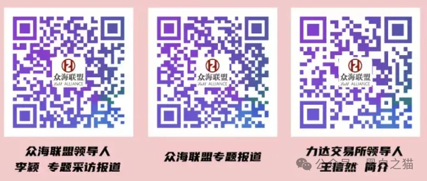 风险提示，“众海联盟”“力达”“金砖国际”资金盘投资风险，个人参与损失自行承担......