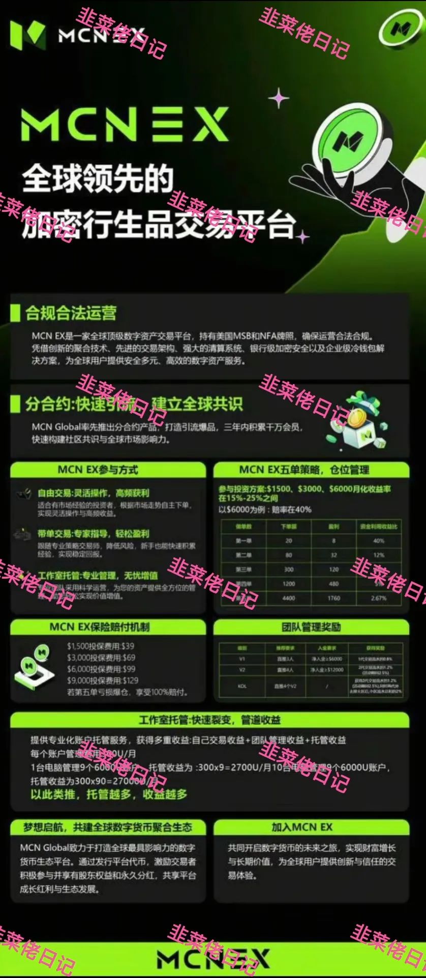 最新资金盘项目骗局曝光【 Golden Link, MCN EX】