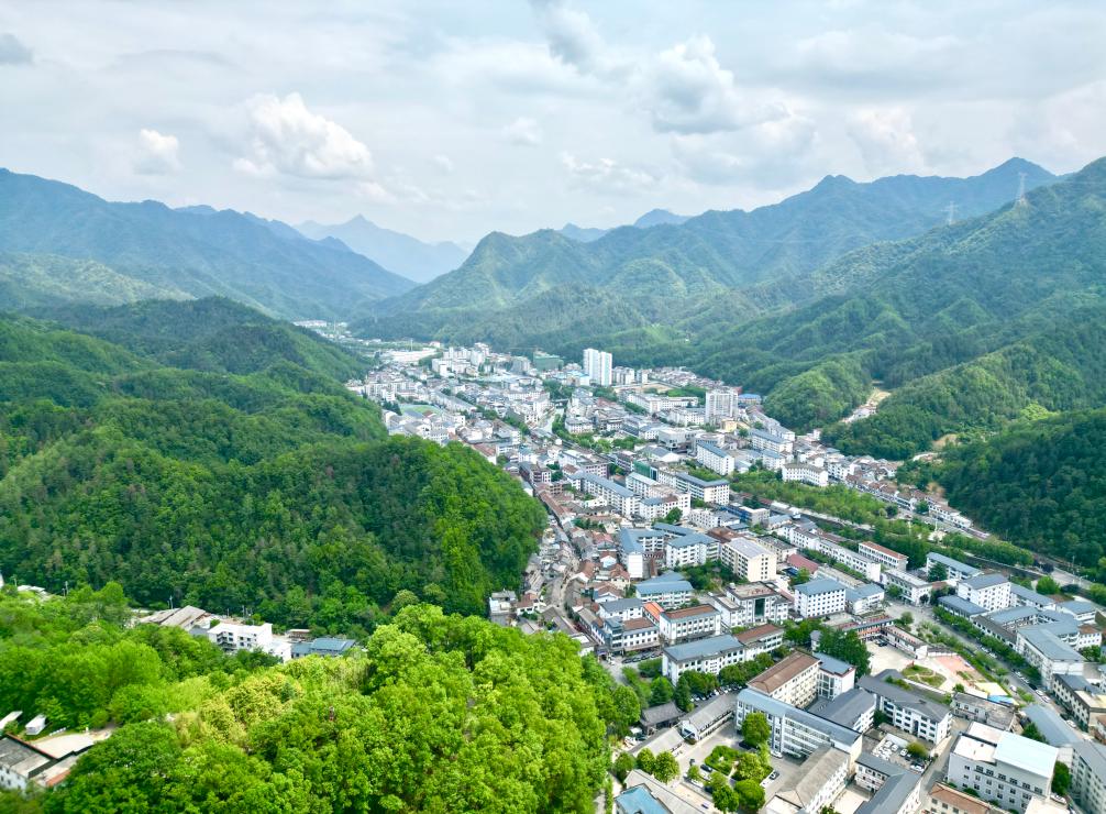 记者手记：一座秦岭小城的乡村美学实践