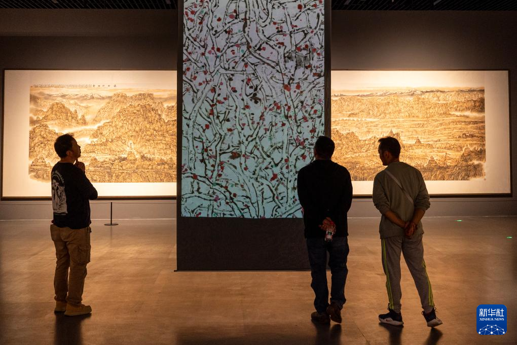 “非同小可——李小可艺术展”在西藏美术馆开幕