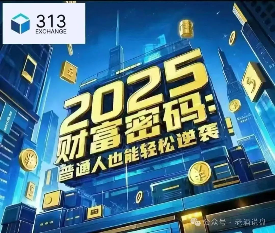 生死时速！“313 交易所”跟单骗局病入膏肓，崩盘倒计时已拉响！