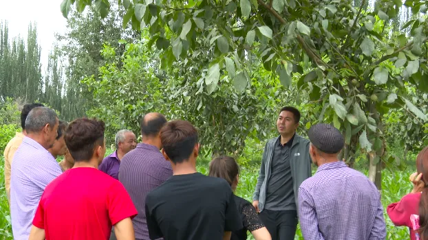自治区科协联动开展产业帮扶与科技志愿服务活动走进疏勒县