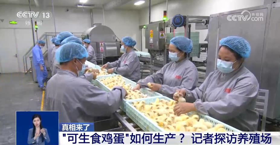 号称“无菌蛋” 真的无菌吗？还能放心吃吗？听听专家怎么说