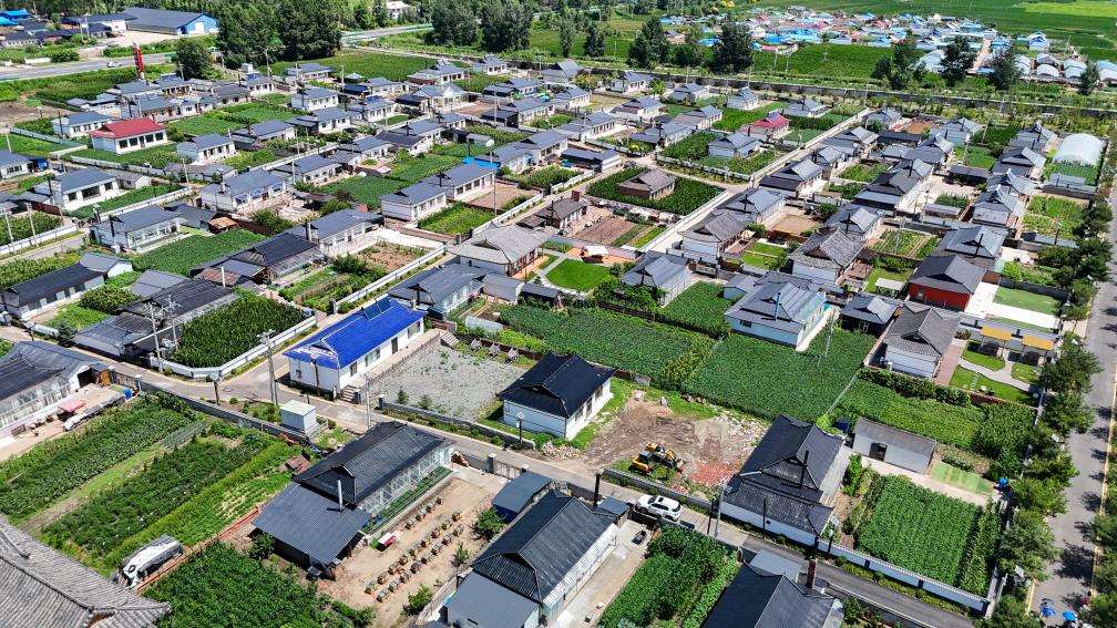 从这里一窥东北乡村的未来 ——走进光东村