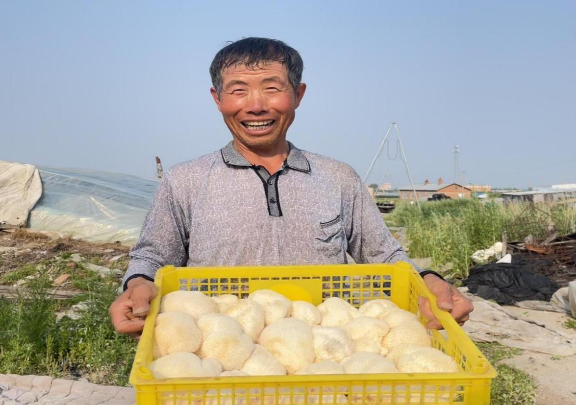 孙吴县西兴乡：党建领航“五区”联动 绘就乡村振兴新图景