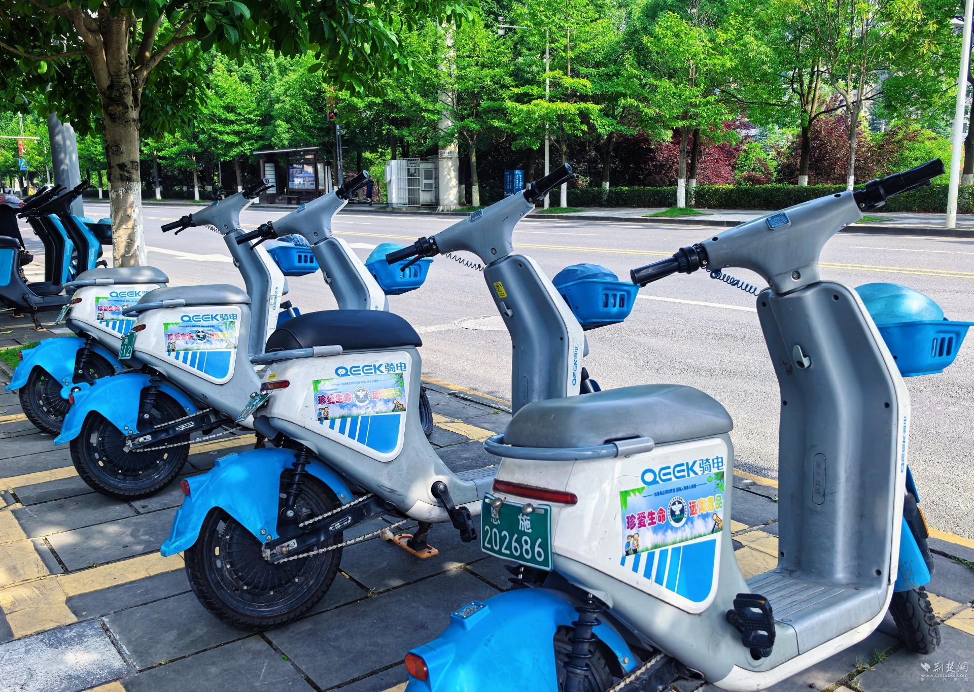 利川3000台共享单车变身“流动禁毒宣传车”