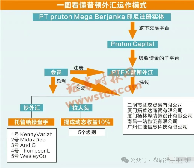 【普顿外汇】骗局：血泪教训，高收益的＂甜蜜陷阱＂：别让贪婪，成为被收割的理由！