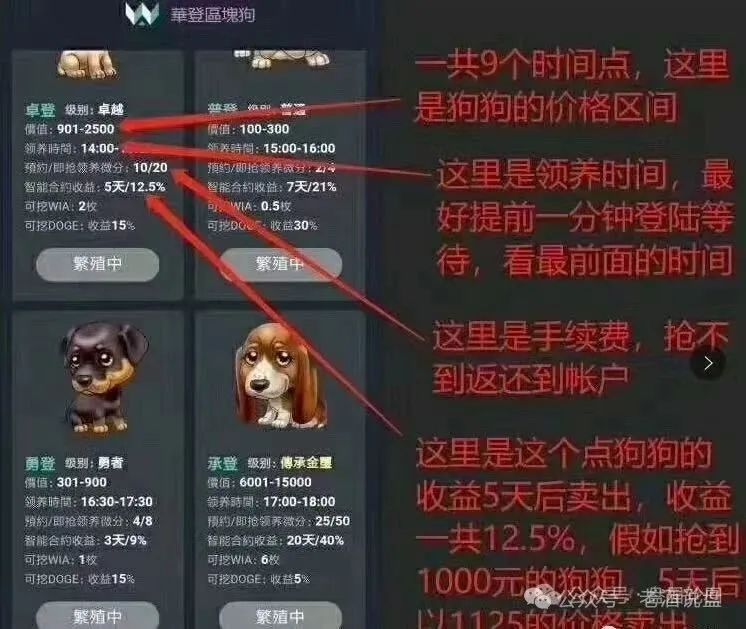警惕【巢音世代】：实为资金盘运作，即将崩盘跑路！
