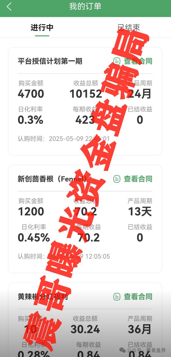最新骗局【新创人SCEA】四五月刚割完一波韭菜，现在又杀个回马枪！