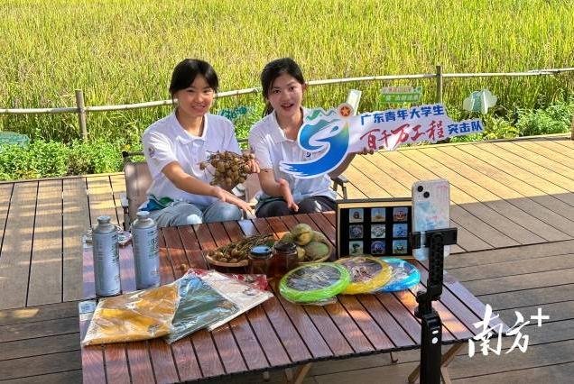 暑假怎么过？广东大学生在乡村一线给产业“开良方”