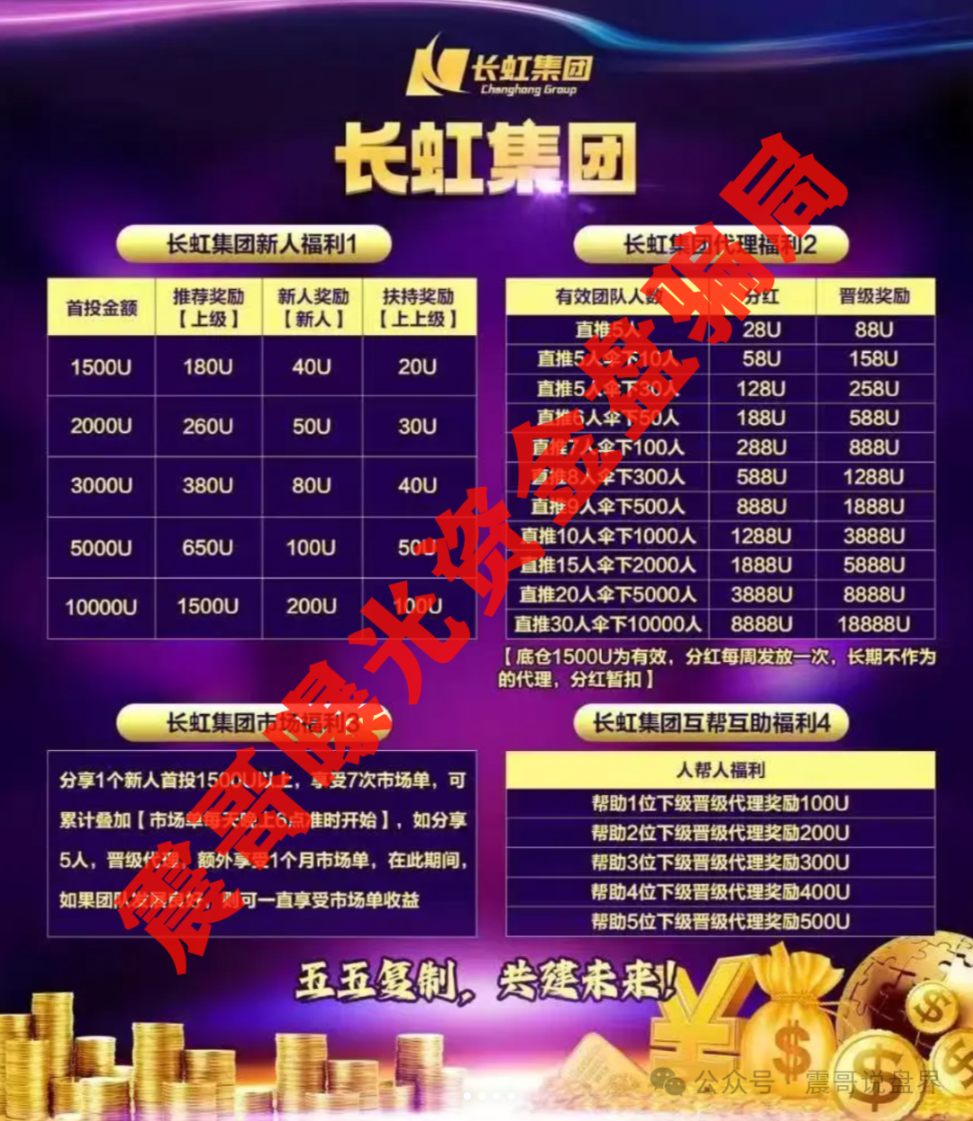【长虹骗局2.0】带你扒皮＂假国企＂资金盘，钱包要捂紧！