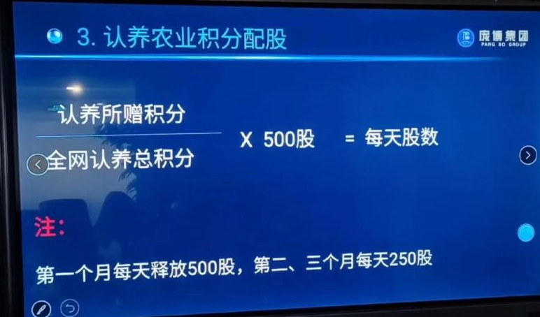 【云养经济】系列报道丨“认养黑猪”传销骗局调查！