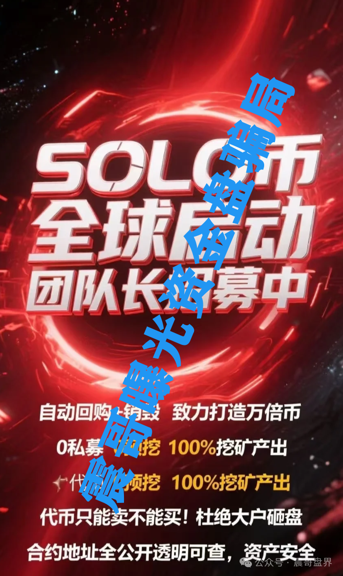 【SOLO】这破项目连代币都搜不到，你还敢往里冲？
