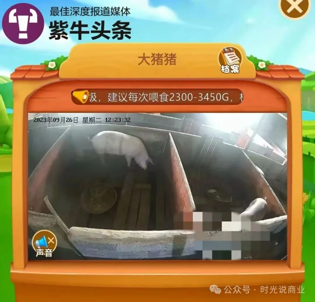 【云养猪】2000元日赚梦碎，揭开云养背后吃人不吐骨的骗局！