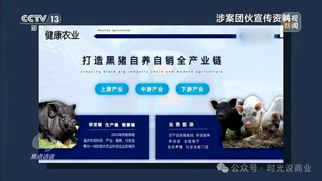 【云养猪】2000元日赚梦碎，揭开云养背后吃人不吐骨的骗局！