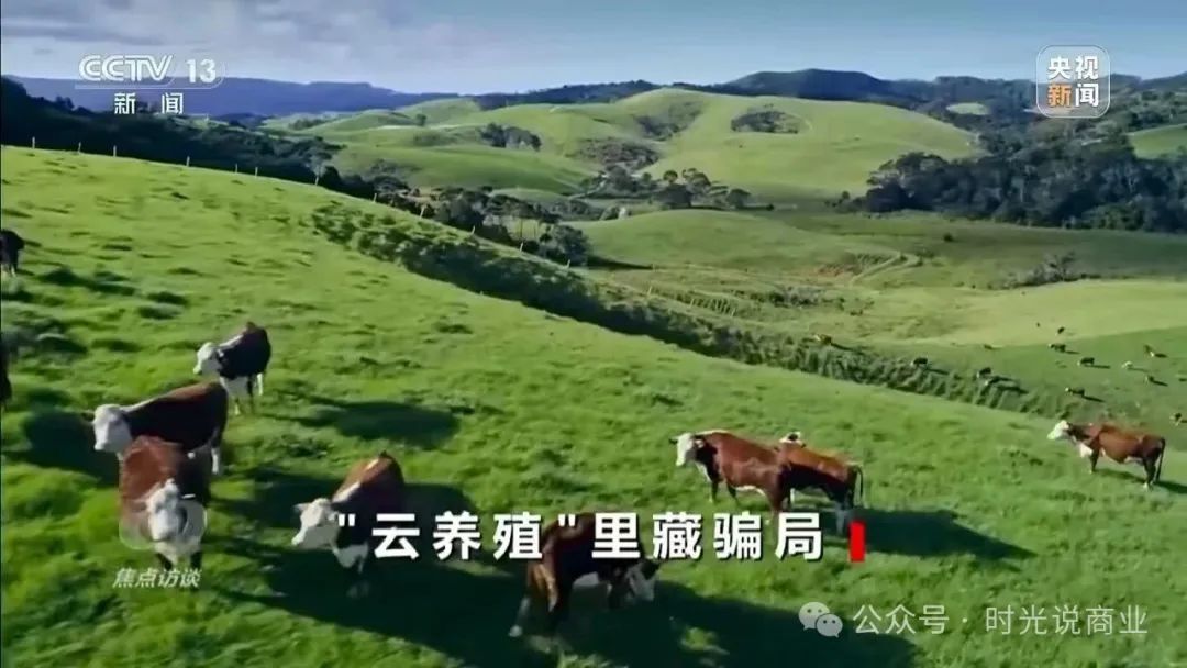 【云养猪】2000元日赚梦碎，揭开云养背后吃人不吐骨的骗局！