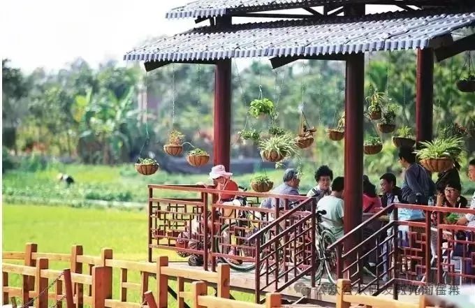 揭开百亿谎言【金恪集团】养老骗局的血色暴雷真相！