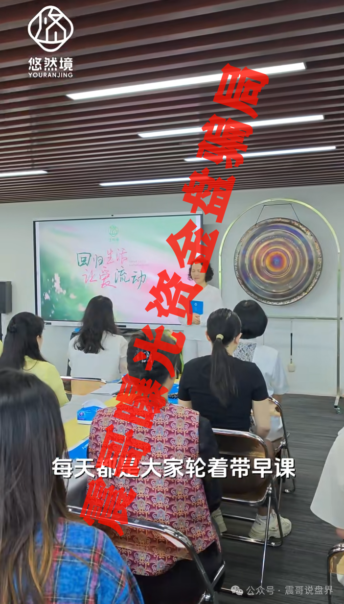 ＂树拍易购＂翻车警示：震哥带你扒皮＂悠然境＂互助盘骗局