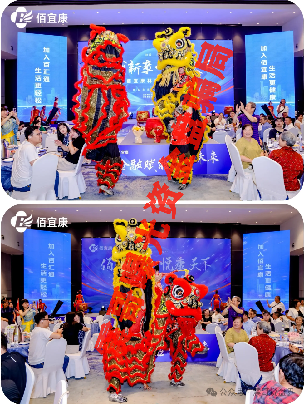 佰宜康（国财资本）股票跟单盘骗局，已经单割会员，即将崩盘