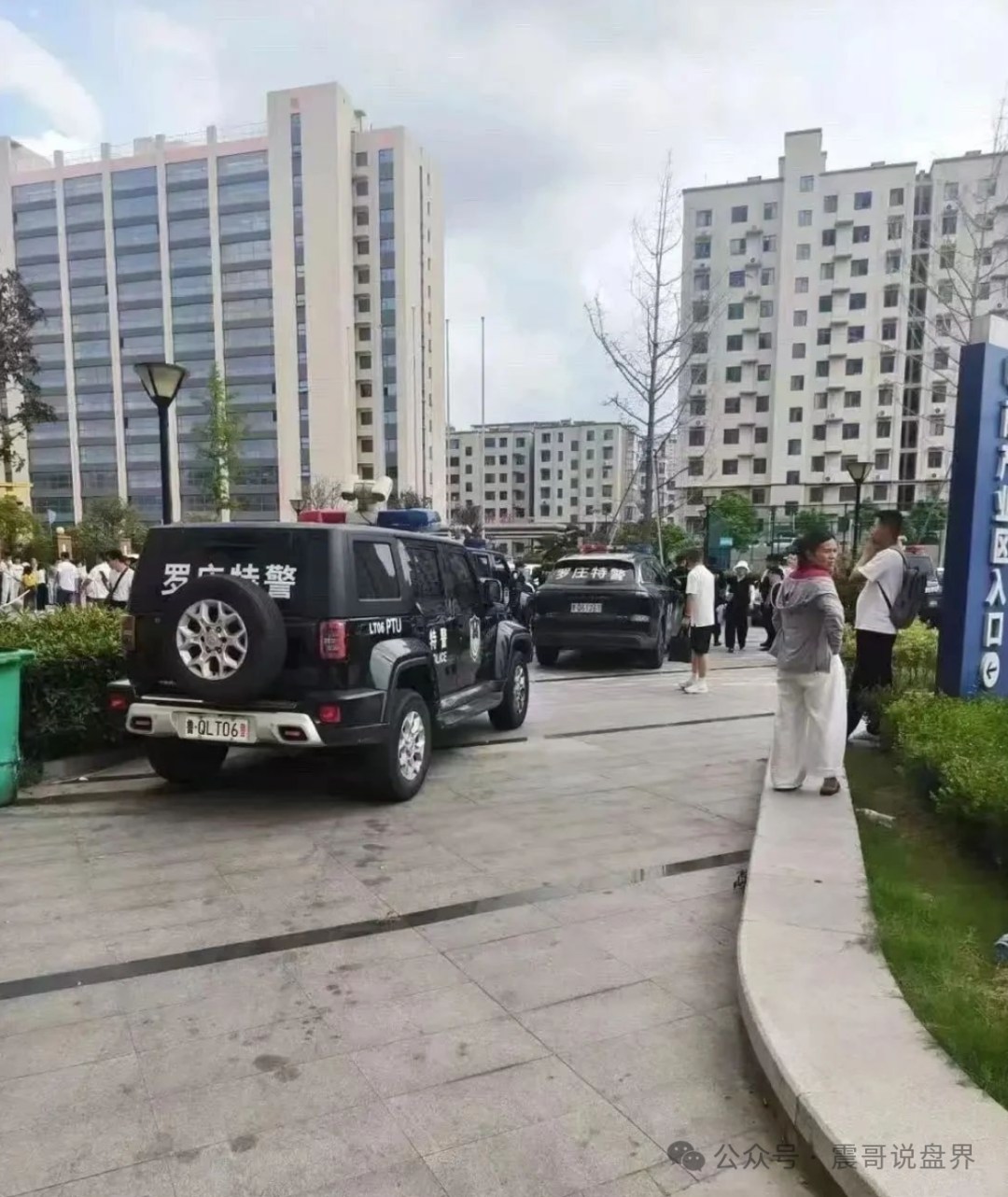树拍崩盘启示录：艾兴合、荣裕合、易无界、全在死亡倒计时！